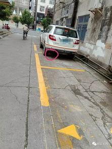 惠州停车场爆料视频,惊现违规操作，真相令人咋舌！